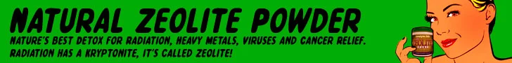 Zeolite Powder